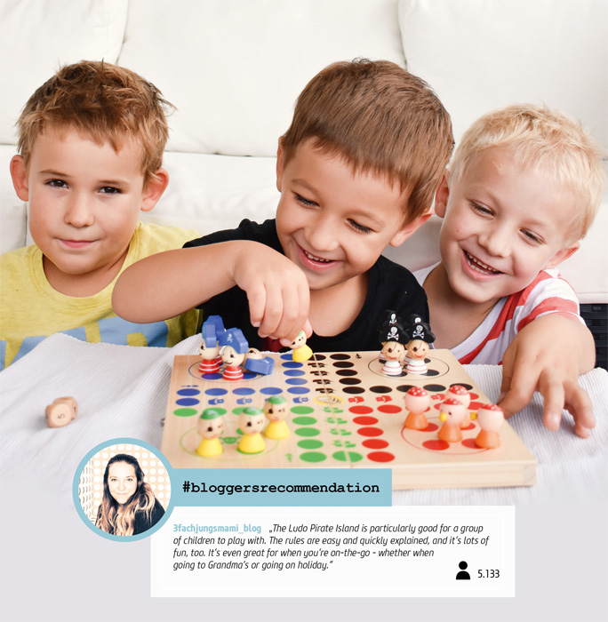 10951_Ludo_Pirateninsel_Bloggerbild